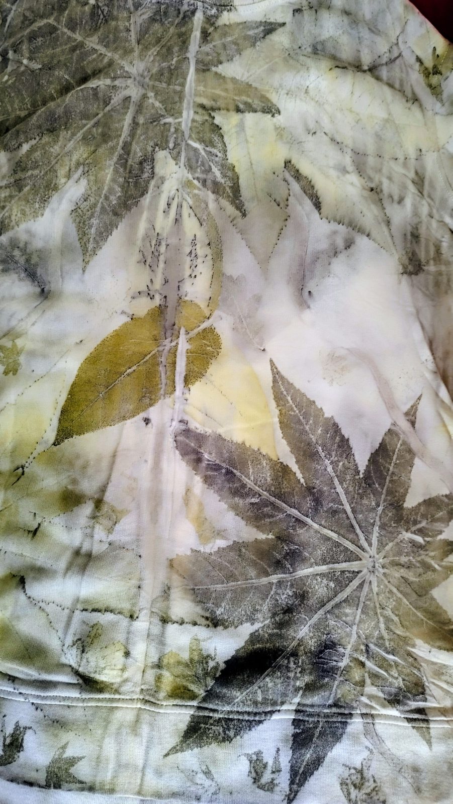 Hoja de zumaque, roble común, Acer japonica e higuerilla sobre algodón orgánico
